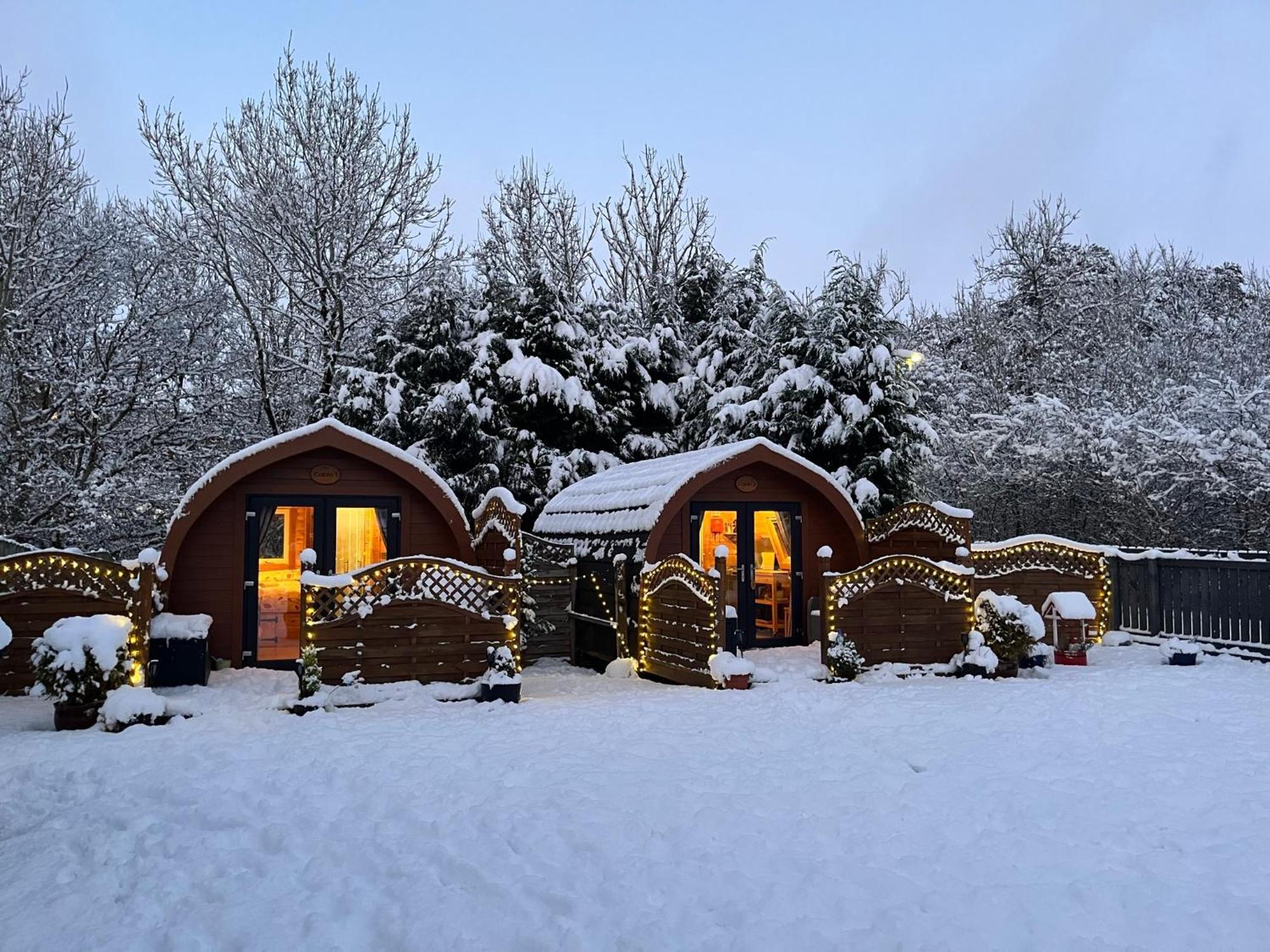 Conifer Cabins Fort William Luaran gambar