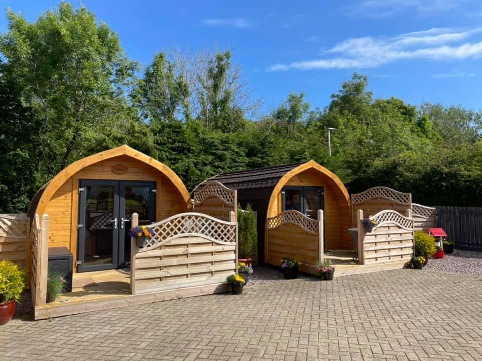 Conifer Cabins Fort William Luaran gambar